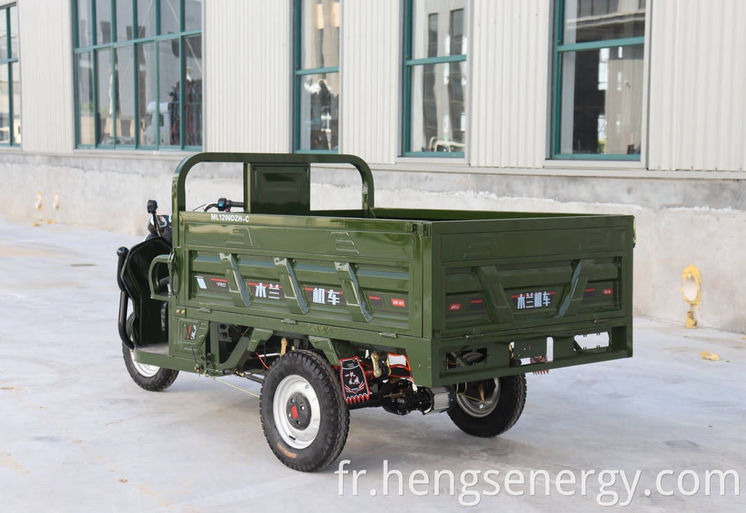 Cargo Electric Tricycle